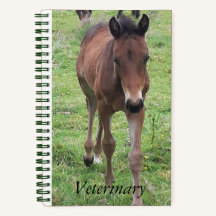 Veterinary Notebook for Yards