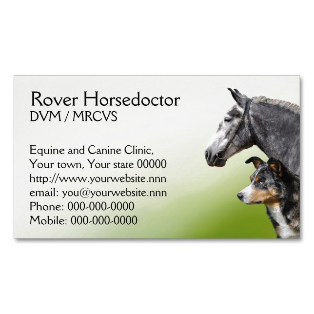 Veterinary practice horses and dogs 	Magnetic business card (Front)