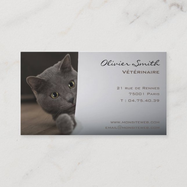 Veterinary surgeon, calling card cat (Front)