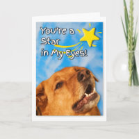 Veterinary Tech Congratulations Golden Retriever