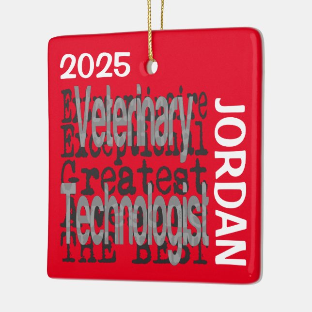 Veterinary Technologist Extraordinaire CUSTOM Ceramic Ornament (Left)