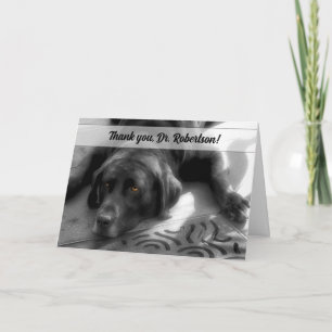 Veterinary Thank You from the Dog Labrador