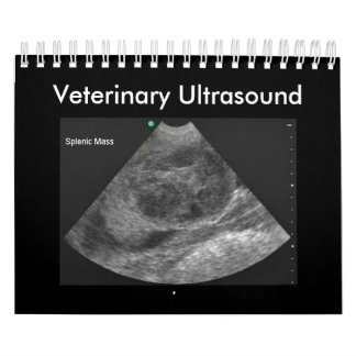 Veterinary Ultrasound Calendar 2024