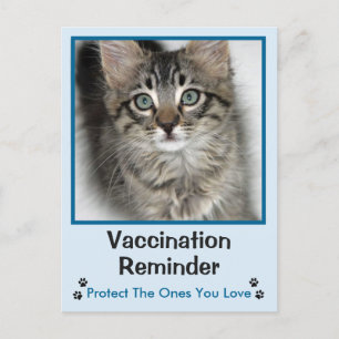 Veterinary Vaccination Blue-Eyed Kitten Postcard