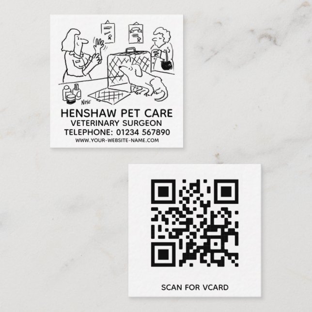 Vets Animal Care Promotional Square Business Card (Front/Back)
