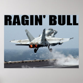 VFA-37 Ragin' Bull Poster