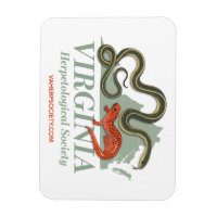 VHS Logo Magnet