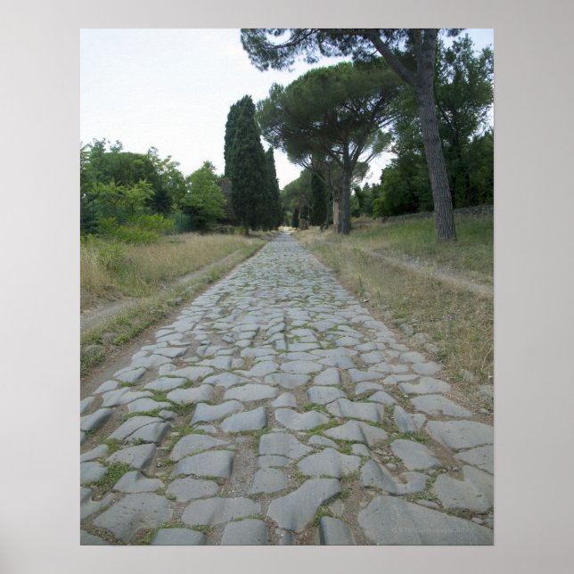 Via Appia  Appian way, roman roadway Poster (Front)