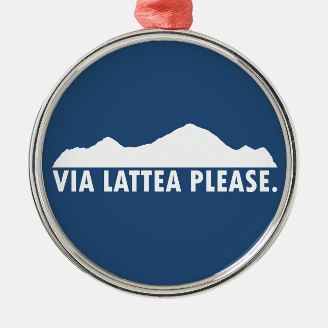 Via Lattea Please Metal Ornament (Front)