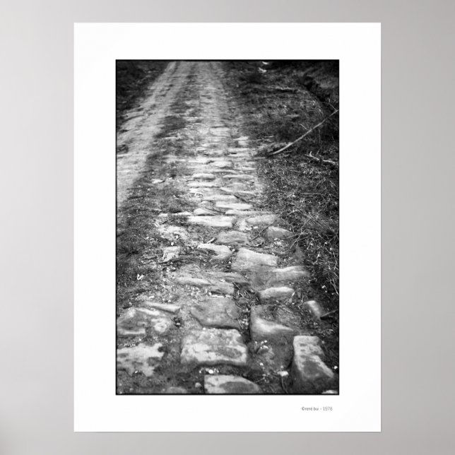 VIA ROMANA Poster (Front)