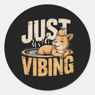Vibing Funny Capybara Cute Lover Birthday Gift Classic Round Sticker