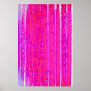Vibrant Abstract Pink and Purple Stripes Art Poster