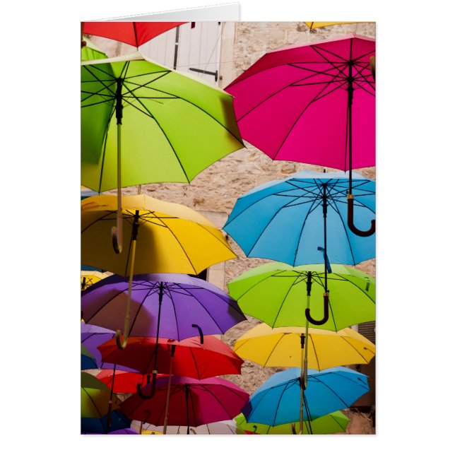 Vibrant and Colourful Umbrellas (Front)