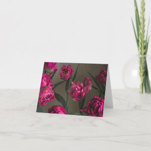 Vibrant and elegant magenta tulips, fine art photo card