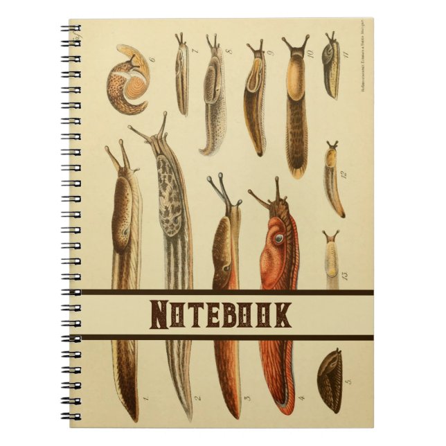Vibrant Antique Slug Illustration Natural History  Notebook (Front)