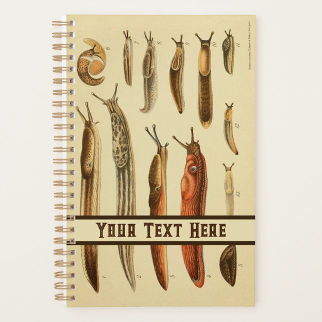 Vibrant Antique Slug Illustration Natural History  Planner (Front)
