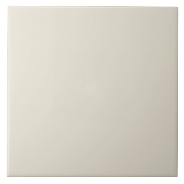 Vibrant Antique White Ceramic Tile (Front)