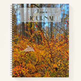 Vibrant Autumn Forest Hike - Golden Leaves & Wild Notebook
