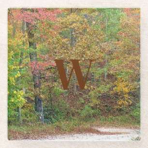Vibrant Autumn Leaves Mountain Road  Glass Coaster