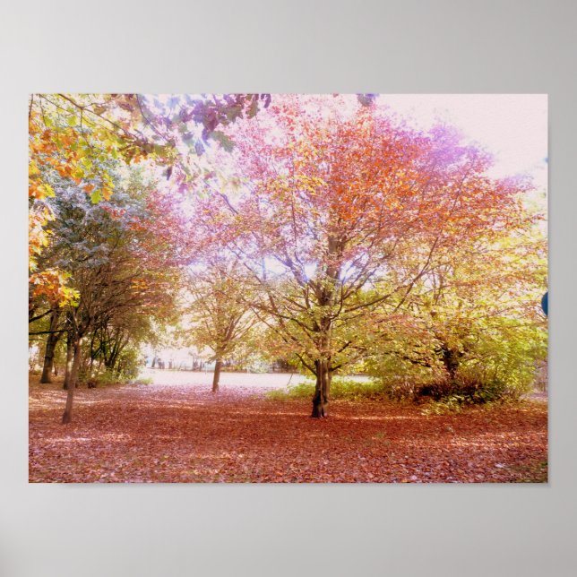Vibrant Autumn Trees Poster (Front)