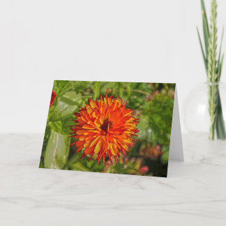 Vibrant Birthday Card