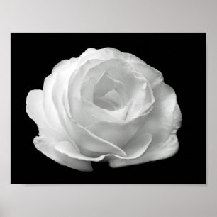 vibrant black and white floral photo poster