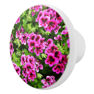 "Vibrant Blooms: Hot Pink Geraniums on Lush Bush Ceramic Knob