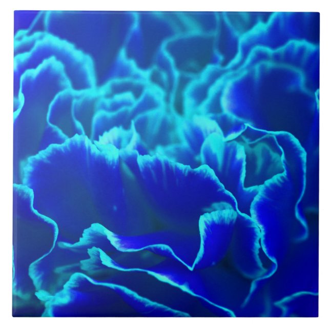 Vibrant Blue and Teal Carnation Flower Ceramic Tile (Front)