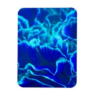 Vibrant Blue and Teal Carnation Flower Magnet