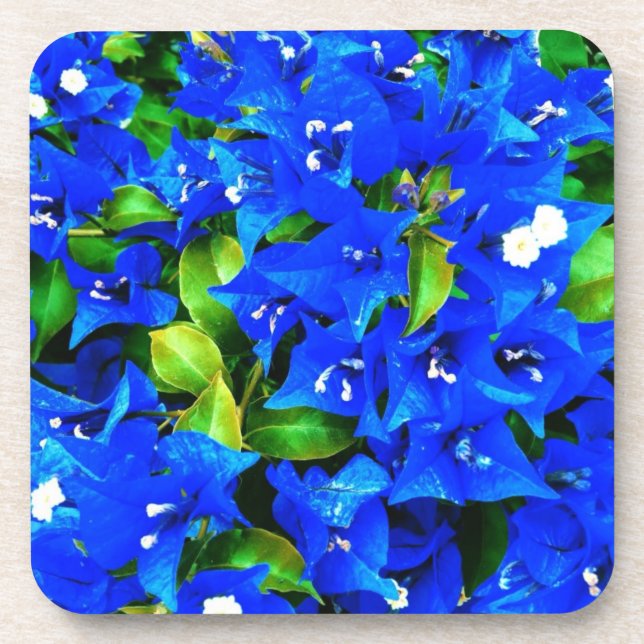 Vibrant Blue Bougainvillea Flowers Coaster (Front)