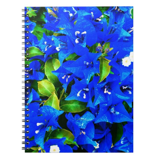 Vibrant Blue Bougainvillea Flowers Notebook (Front)