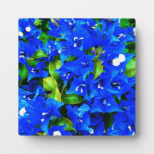 Vibrant Blue Bougainvillea Flowers
