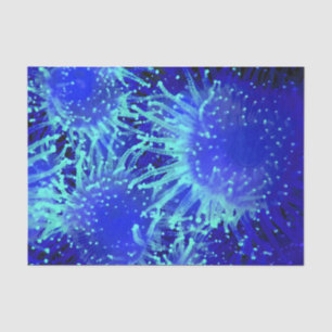 Vibrant Blue Glowing Tropical Sea Urchin Tissue Paper