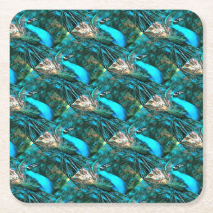 Vibrant Blue Peacock In With Fanned Tail Square Paper Coaster