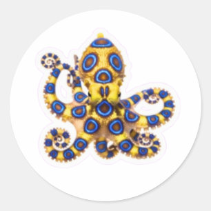 ​Vibrant Blue Ring Octopus Decal - Exotic Marine B Classic Round Sticker