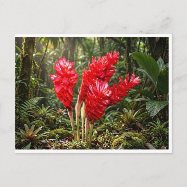 Vibrant Botanical Ginger Blossom Coffee Mug Postcard (Front)