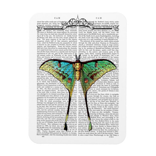 Vibrant Butterfly Magnet (Vertical)