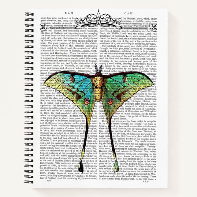 Vibrant Butterfly Notebook (Front)