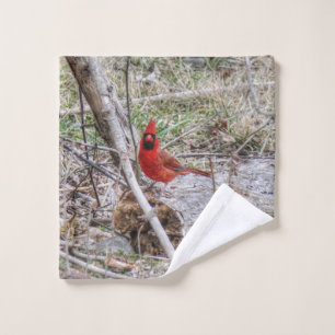 Vibrant Cardinal Bath Towel Set