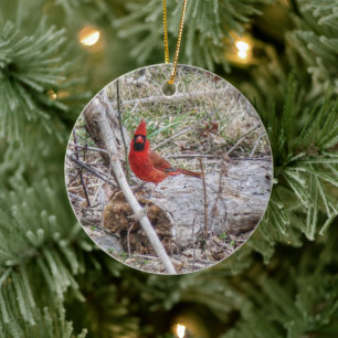 Vibrant Cardinal Ceramic Ornament