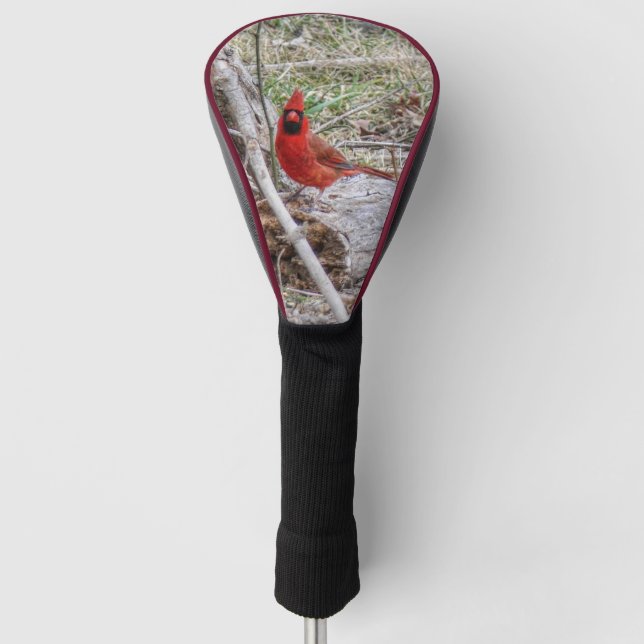 Vibrant Cardinal Golf Head Cover (Front)