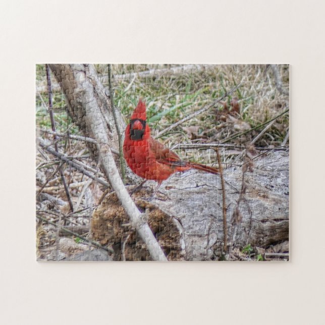 Vibrant Cardinal Jigsaw Puzzle (Horizontal)