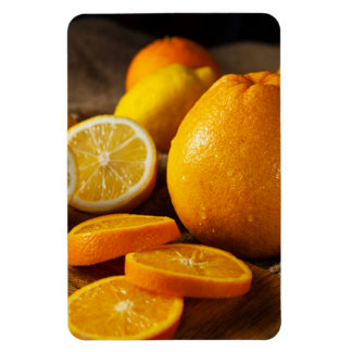 Vibrant Citrus Fruits Refrigerator Magnet
