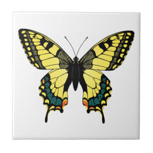 vibrant colour butterfly ceramic tile