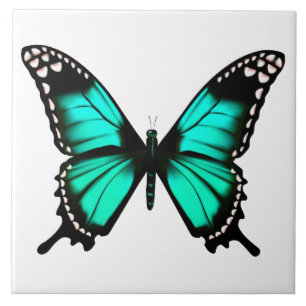 vibrant colour butterfly ceramic tile