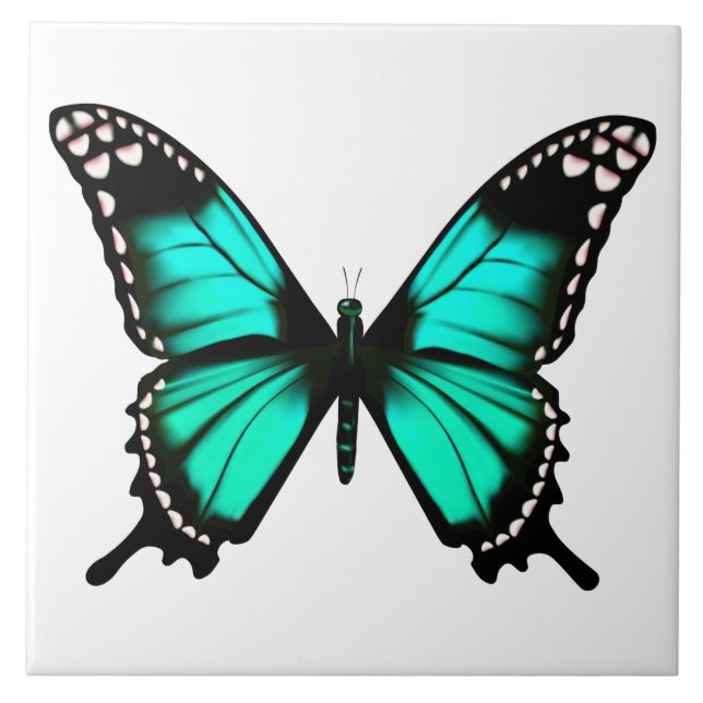 vibrant colour butterfly ceramic tile (Front)