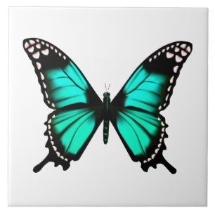 vibrant colour butterfly ceramic tile