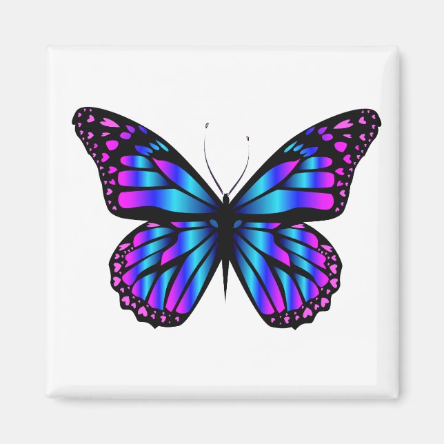 vibrant colour butterfly  magnet (Front)
