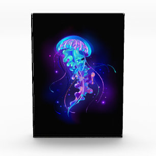 Vibrant Colour Glowing Jellyfish Photo Block