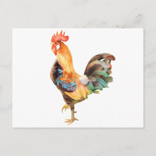 Vibrant coloured Rooster Postcard